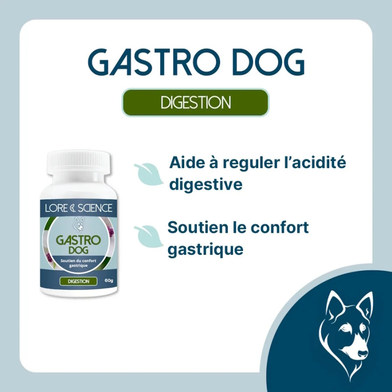 Gastro Dog : Digestion & Ulcères - Soin Naturel Chien